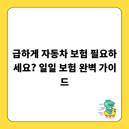 급하게 자동차 보험 필요하세요? 일일 보험 완벽 가이드