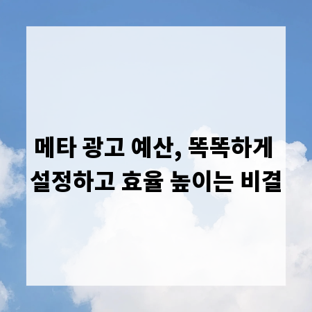 메타 광고 예산, 똑똑하게 설정하고 효율 높이는 비결
