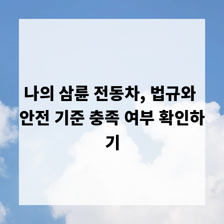 나의 삼륜 전동차, 법규와 안전 기준 충족 여부 확인하기