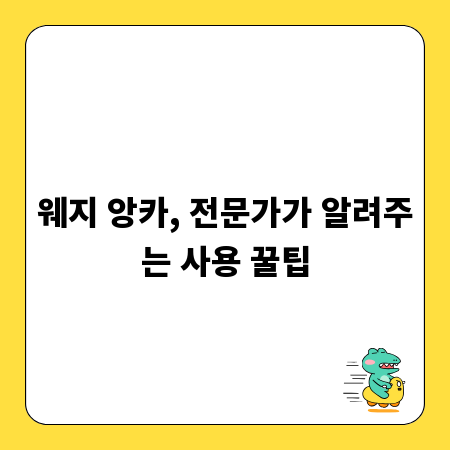 웨지 앙카, 전문가가 알려주는 사용 꿀팁