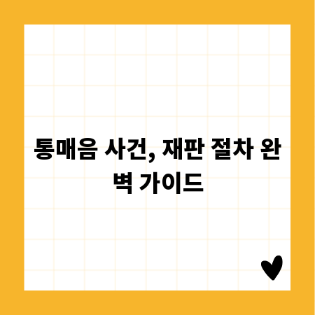 통매음 사건, 재판 절차 완벽 가이드