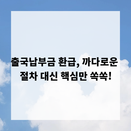 출국납부금 환급, 까다로운 절차 대신 핵심만 쏙쏙!