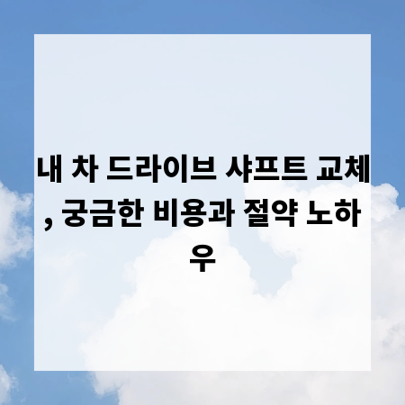 내 차 드라이브 샤프트 교체, 궁금한 비용과 절약 노하우