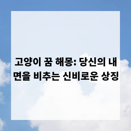 고양이 꿈 해몽: 당신의 내면을 비추는 신비로운 상징