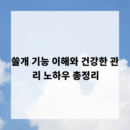 쓸개 기능 이해와 건강한 관리 노하우 총정리