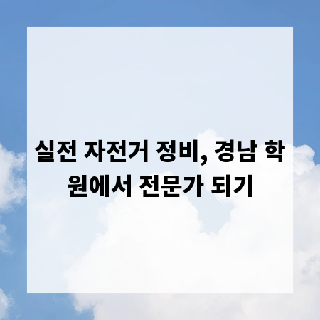 실전 자전거 정비, 경남 학원에서 전문가 되기