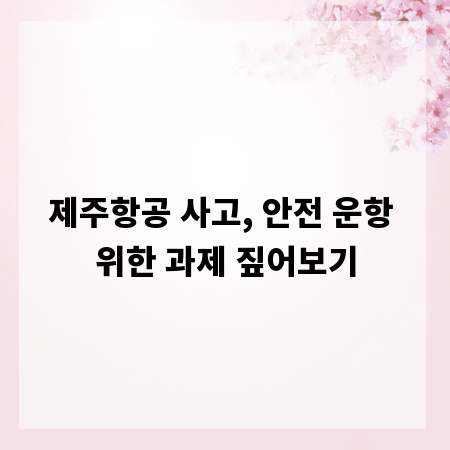 제주항공 사고, 안전 운항 위한 과제 짚어보기