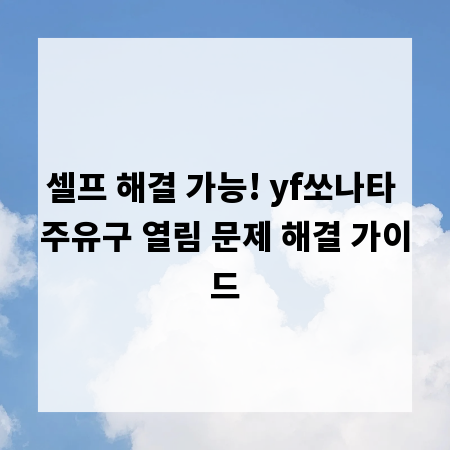 셀프 해결 가능! yf쏘나타 주유구 열림 문제 해결 가이드