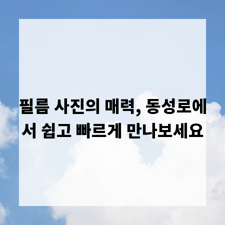 필름 사진의 매력, 동성로에서 쉽고 빠르게 만나보세요