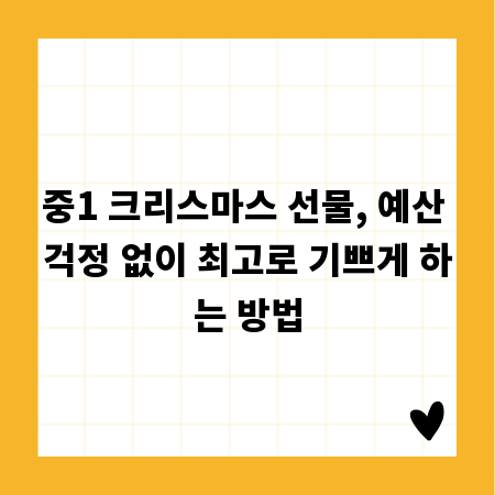 중1 크리스마스 선물, 예산 걱정 없이 최고로 기쁘게 하는 방법