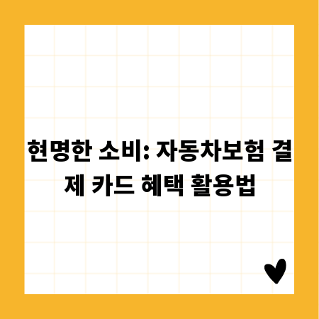 현명한 소비: 자동차보험 결제 카드 혜택 활용법