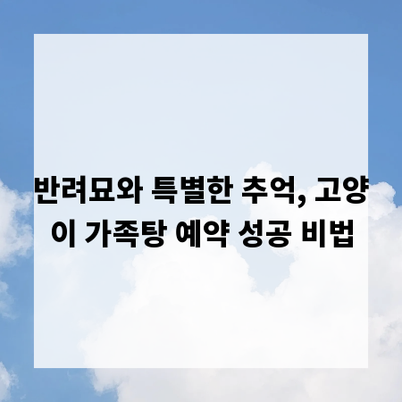반려묘와 특별한 추억, 고양이 가족탕 예약 성공 비법
