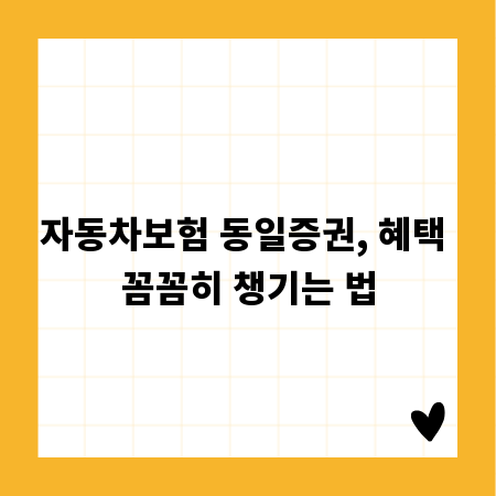 자동차보험 동일증권, 혜택 꼼꼼히 챙기는 법