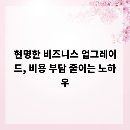 현명한 비즈니스 업그레이드, 비용 부담 줄이는 노하우