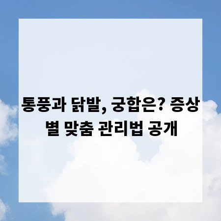 통풍과 닭발, 궁합은? 증상별 맞춤 관리법 공개