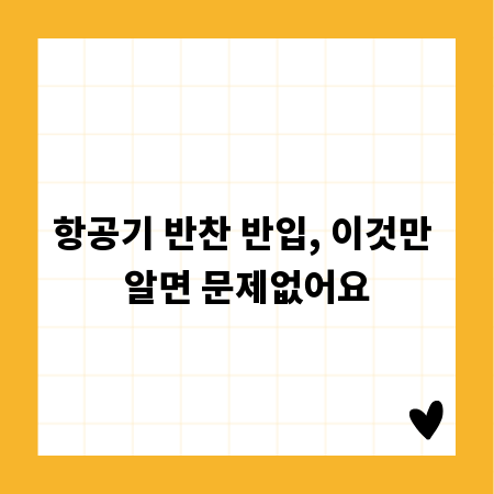 항공기 반찬 반입, 이것만 알면 문제없어요