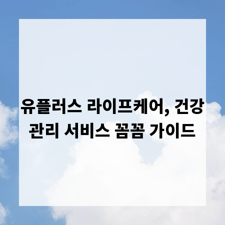 유플러스 라이프케어, 건강관리 서비스 꼼꼼 가이드