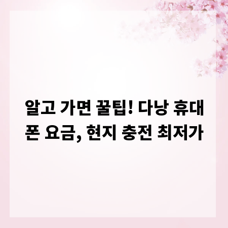 알고 가면 꿀팁! 다낭 휴대폰 요금, 현지 충전 최저가