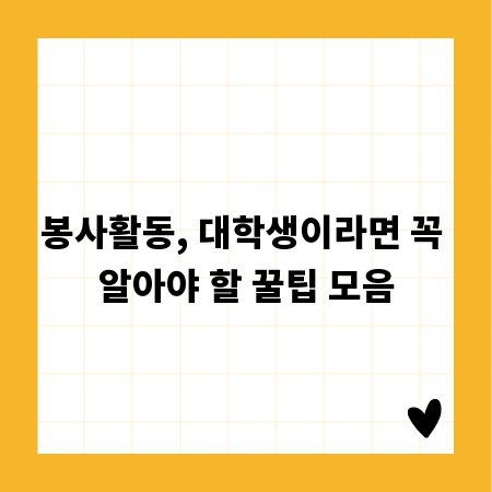 봉사활동, 대학생이라면 꼭 알아야 할 꿀팁 모음