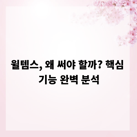 윌템스, 왜 써야 할까? 핵심 기능 완벽 분석