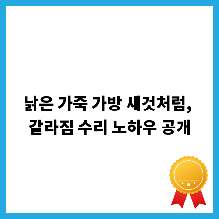 낡은 가죽 가방 새것처럼, 갈라짐 수리 노하우 공개