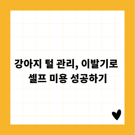 강아지 털 관리, 이발기로 셀프 미용 성공하기