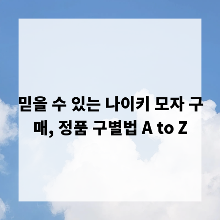 믿을 수 있는 나이키 모자 구매, 정품 구별법 A to Z