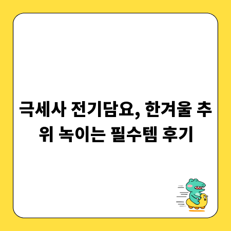 극세사 전기담요, 한겨울 추위 녹이는 필수템 후기
