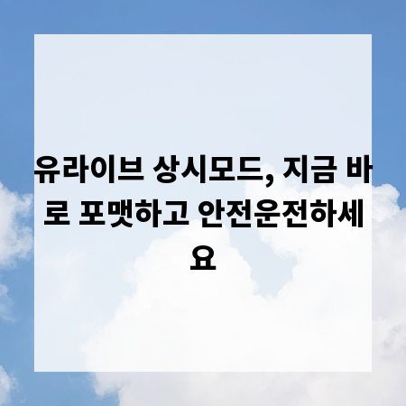 유라이브 상시모드, 지금 바로 포맷하고 안전운전하세요