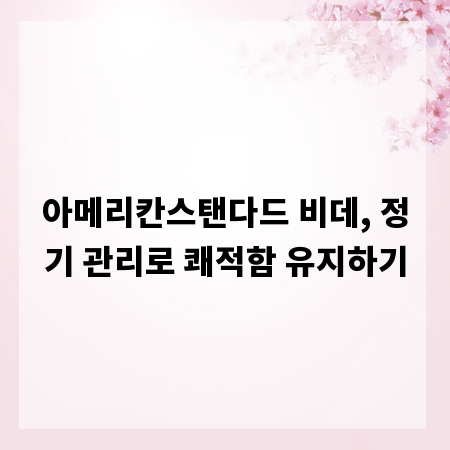 아메리칸스탠다드 비데, 정기 관리로 쾌적함 유지하기