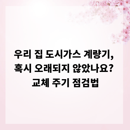 우리 집 도시가스 계량기, 혹시 오래되지 않았나요? 교체 주기 점검법