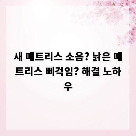 새 매트리스 소음? 낡은 매트리스 삐걱임? 해결 노하우