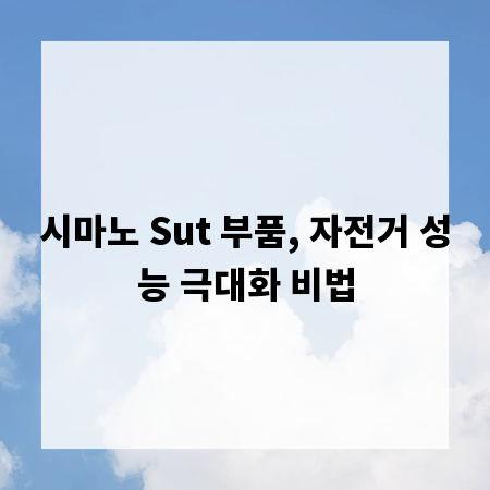 시마노 Sut 부품, 자전거 성능 극대화 비법
