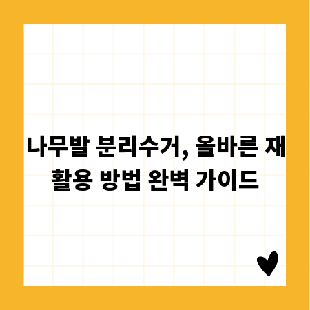 나무발 분리수거, 올바른 재활용 방법 완벽 가이드