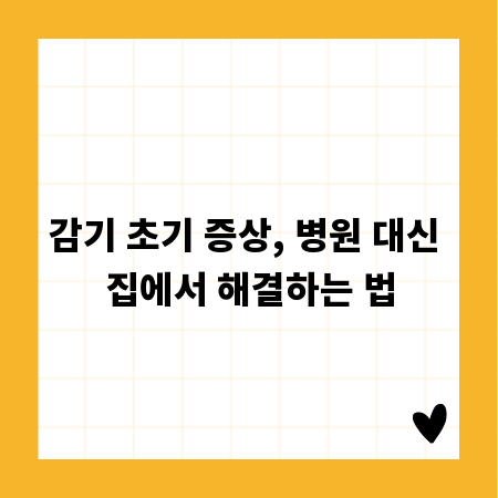 감기 초기 증상, 병원 대신 집에서 해결하는 법