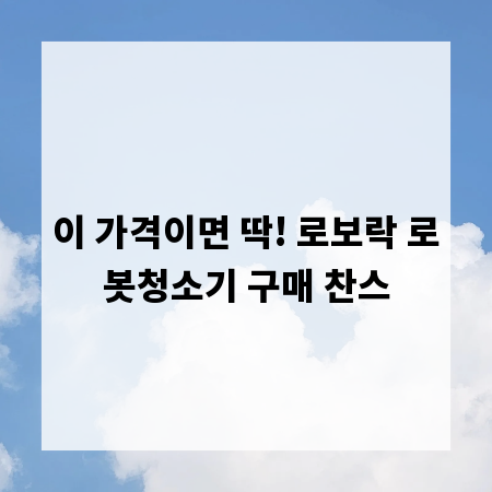 이 가격이면 딱! 로보락 로봇청소기 구매 찬스