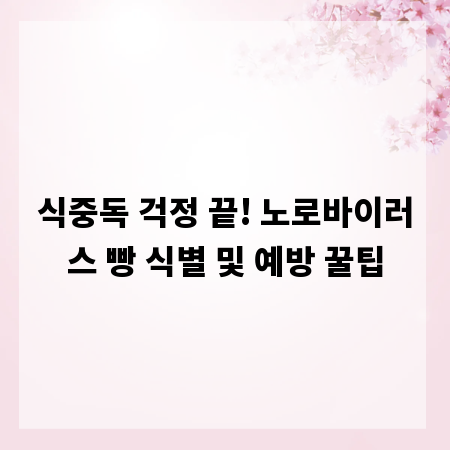 식중독 걱정 끝! 노로바이러스 빵 식별 및 예방 꿀팁