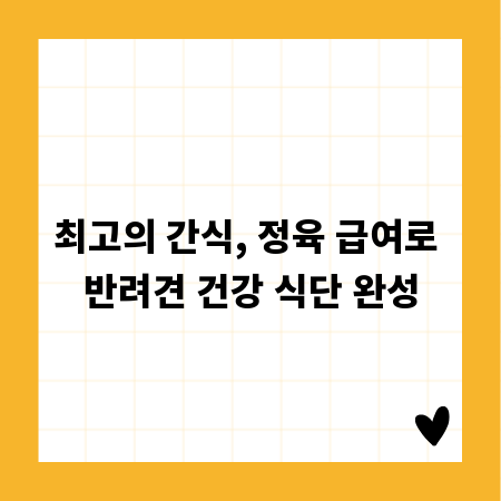 최고의 간식, 정육 급여로 반려견 건강 식단 완성