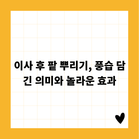 이사 후 팥 뿌리기, 풍습 담긴 의미와 놀라운 효과