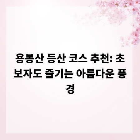 용봉산 등산 코스 추천: 초보자도 즐기는 아름다운 풍경