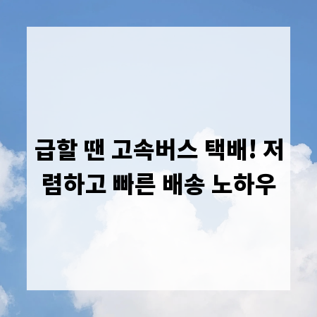 급할 땐 고속버스 택배! 저렴하고 빠른 배송 노하우