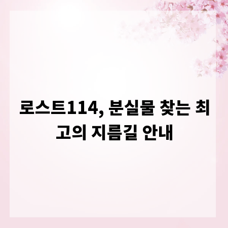 로스트114, 분실물 찾는 최고의 지름길 안내