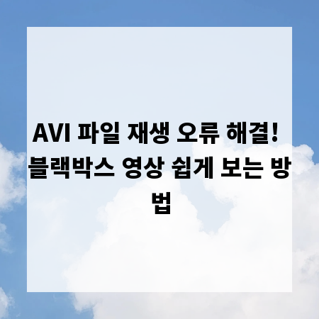 AVI 파일 재생 오류 해결! 블랙박스 영상 쉽게 보는 방법
