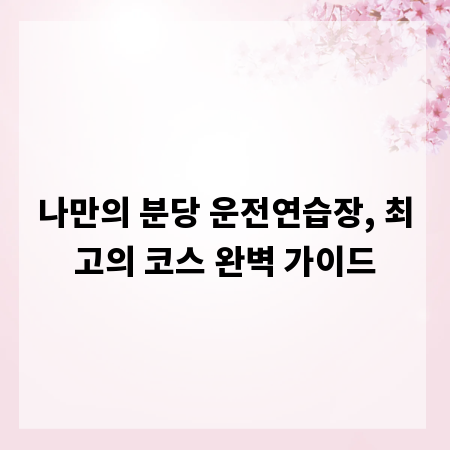 나만의 분당 운전연습장, 최고의 코스 완벽 가이드