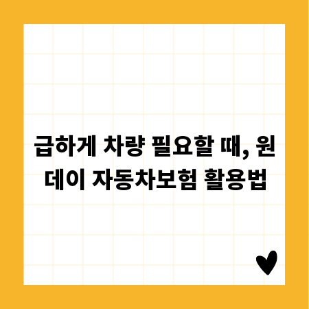 급하게 차량 필요할 때, 원데이 자동차보험 활용법