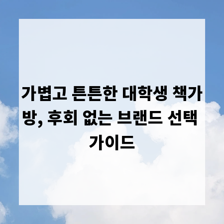 가볍고 튼튼한 대학생 책가방, 후회 없는 브랜드 선택 가이드