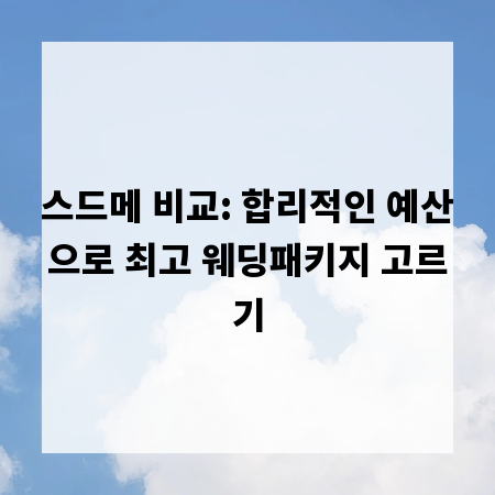 스드메 비교: 합리적인 예산으로 최고 웨딩패키지 고르기
