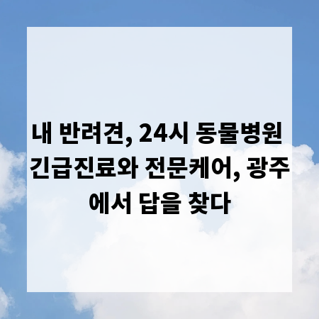내 반려견, 24시 동물병원 긴급진료와 전문케어, 광주에서 답을 찾다