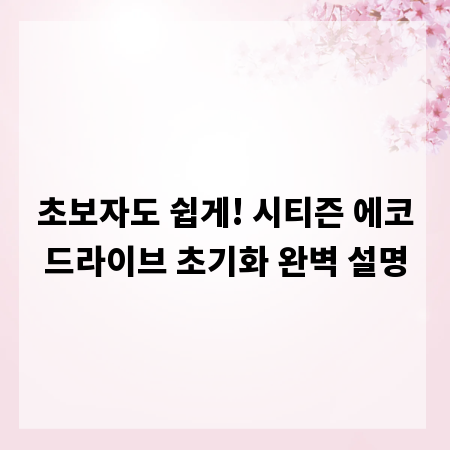 초보자도 쉽게! 시티즌 에코드라이브 초기화 완벽 설명