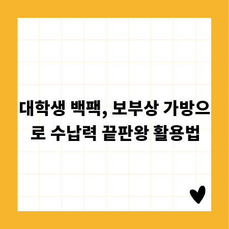 대학생 백팩, 보부상 가방으로 수납력 끝판왕 활용법